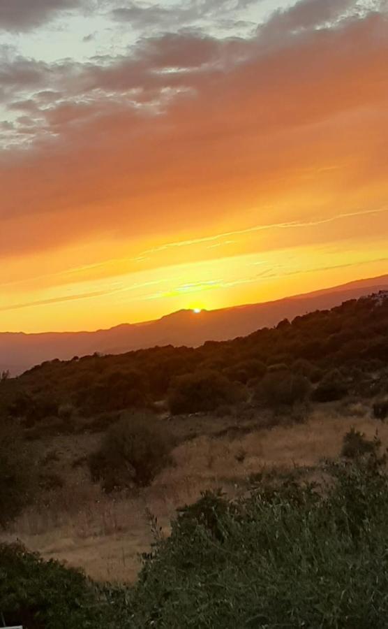 B&B Valverde Dorgali Εξωτερικό φωτογραφία