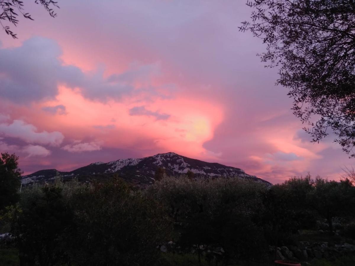 B&B Valverde Dorgali Εξωτερικό φωτογραφία