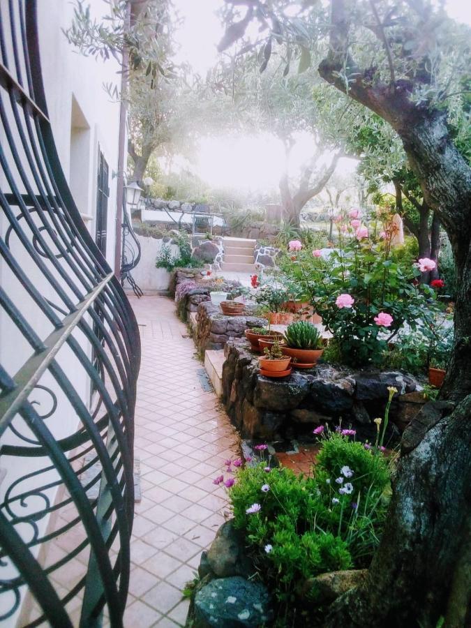 B&B Valverde Dorgali Εξωτερικό φωτογραφία
