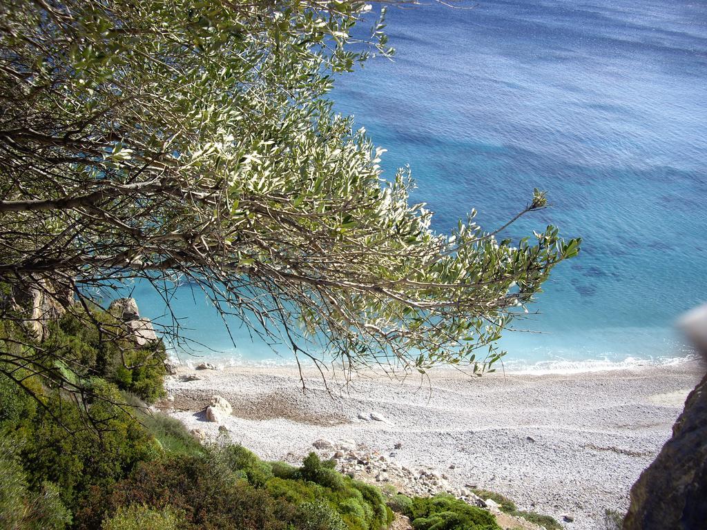 B&B Valverde Dorgali Εξωτερικό φωτογραφία
