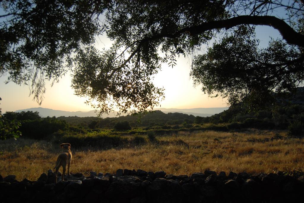 B&B Valverde Dorgali Εξωτερικό φωτογραφία